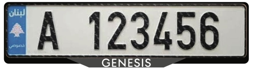 Genesis frame design
